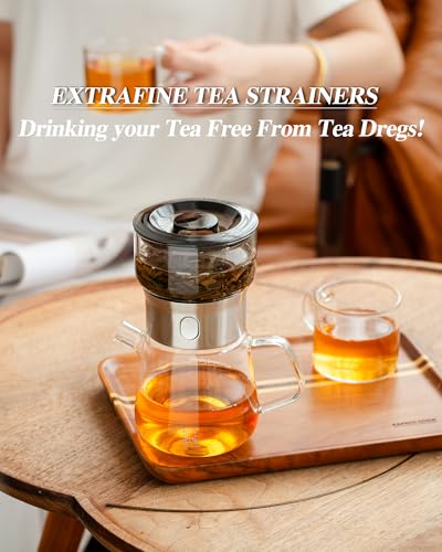 Modern Glass Infuser Pot Set with 2 Cups