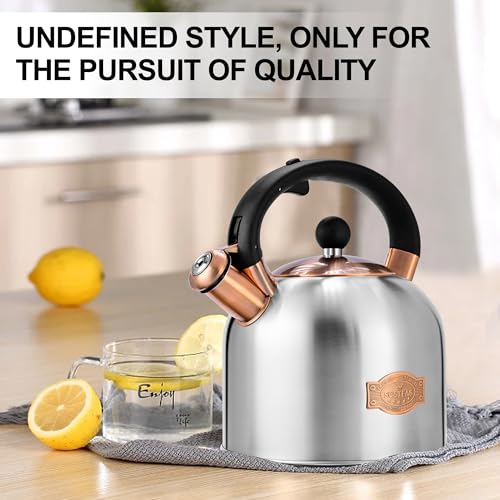 Tea Kettle 3.17QT Stainless Steel Whistling Tea Pot