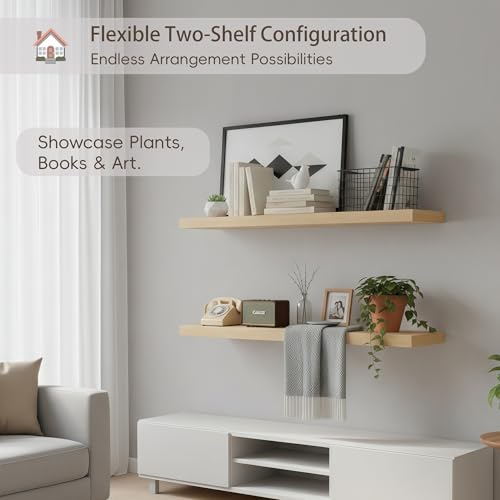 Floating Wall Shelves (2 Count)