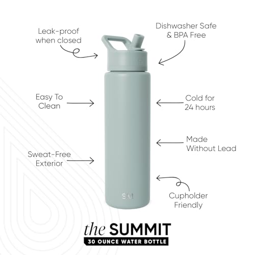 Insulated Water Bottle with Straw