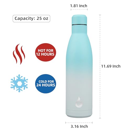 25 oz Insulated Stainless Steel Water Bottle