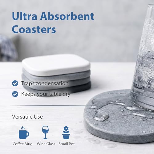 6 Pack Diatomite Absorbent Coasters for Drinks (6 Count)
