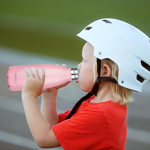 Insulated Water Bottle (2 Count)