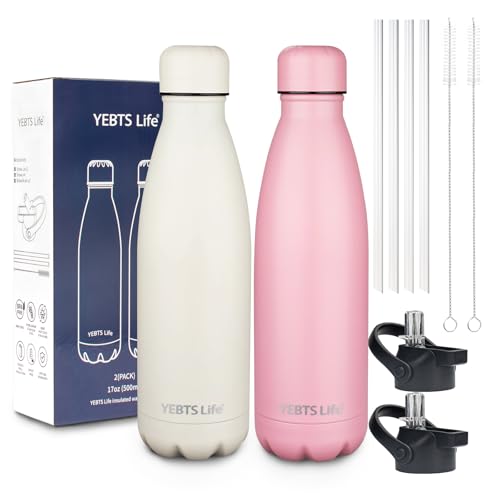 Insulated Water Bottle (2 Count)