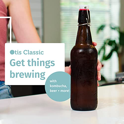 Swing Top Glass Bottles (6 Count)
