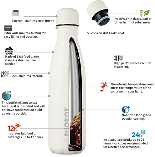 17 oz Insulated Water Bottle
