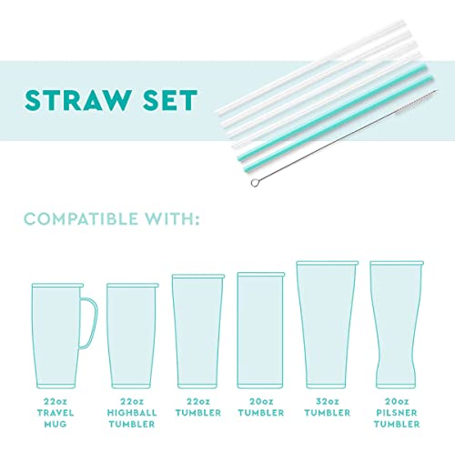Reusable Straw Set with Cleaning Brush