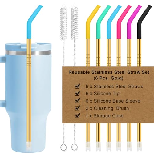 Newly Upgraded 8.5In Reusable Stainless Steel Straws Set 6 PCS with12 Silicone Accessories (6 Count)
