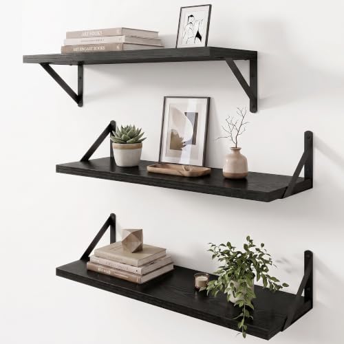 Wall Mounted Floating Shelves Set of 3