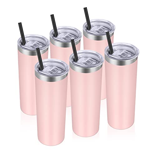 Stainless Steel Tumblers Bulk 6 Pack (6 Count)