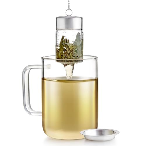 Elegant Glass Tea Infuser