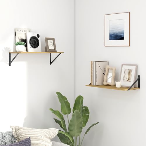 Deep Floating Shelves for Wall (2 Count)