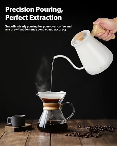 Gooseneck Electric Kettle