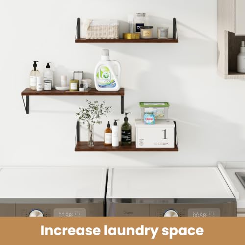 Floating Book Shelves for Wall
