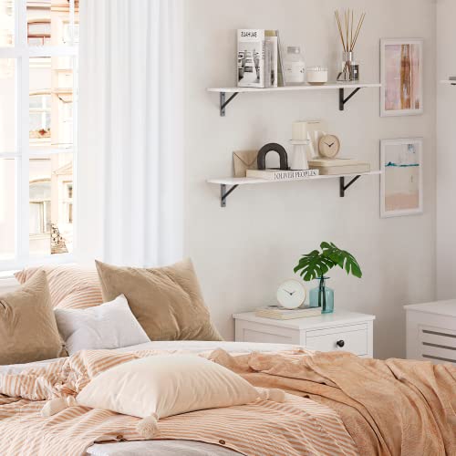 Wall Shelves 23.6" Long Floating Shelves with Metal Brackets (2 Count)