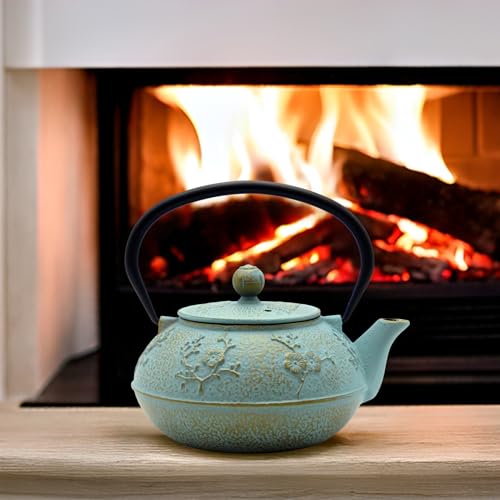 30.4oz Small Cast Iron Tea Kettle