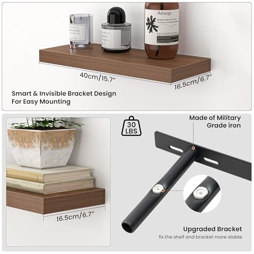 Floating Shelves for Wall (2 Count)