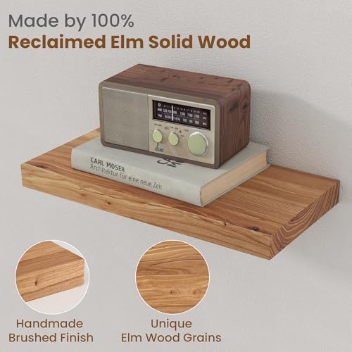 Floating Shelves for Wall Decor (2 Count)