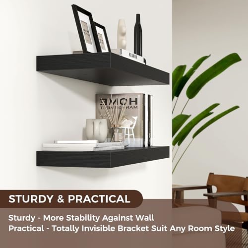 24 Inch Floating Shelves for Wall (2 Count)