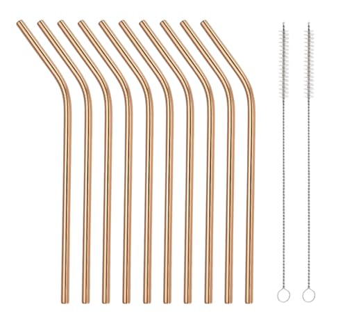 10 Pcs Stainless Steel Straws (10 Count)