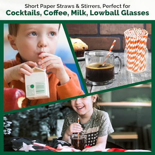 5.75 inch Orange Paper Cocktail Straws (500 Count)