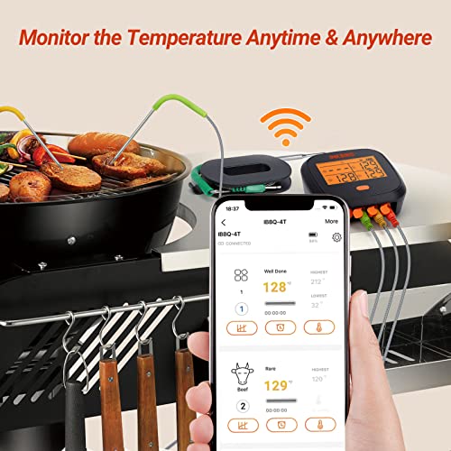 WiFi Meat Thermometer for Grilling