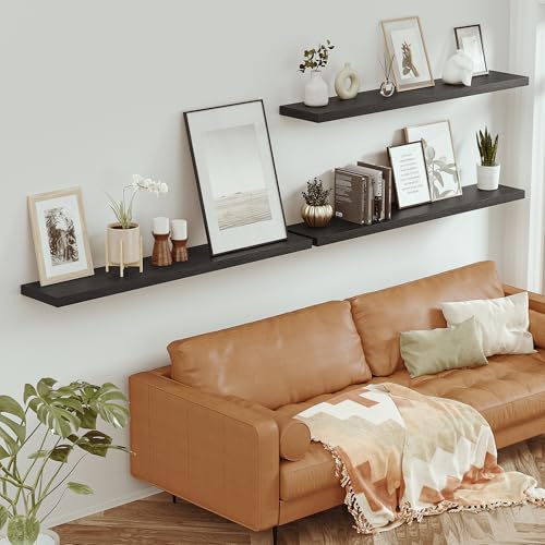 Deep Floating Shelves 55x10” Set of 1