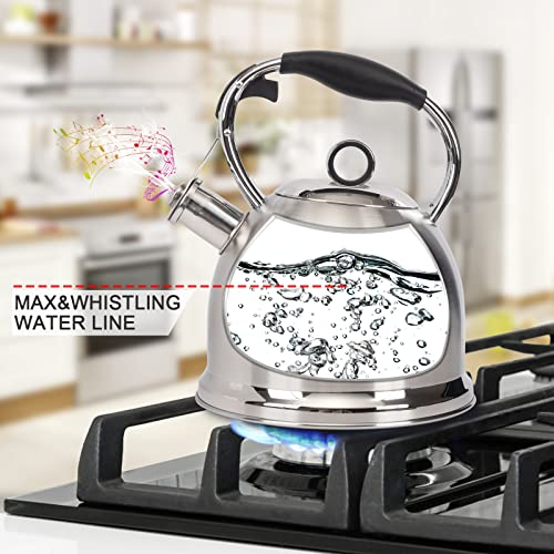 Tea Kettle for Stovetop