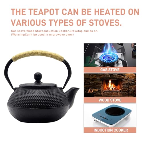 Japanese Tetsubin Cast Iron Teapot Tea Kettle pot with Stainless Steel Infuser for Stovetop Safe Coated with Enameled Interior
