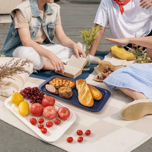 17" x 10.5" Grilling Prep and Serve Trays (2 Count)