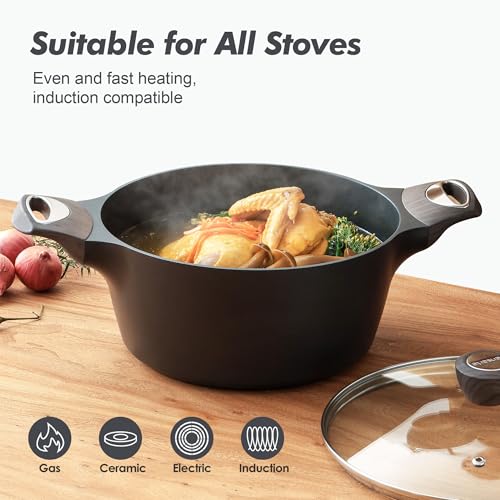 Nonstick Stock Pot with Lid