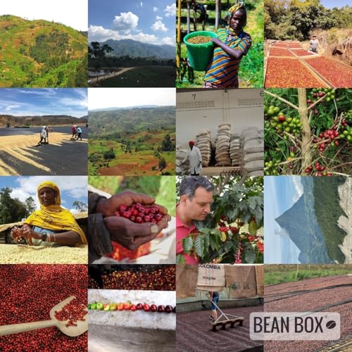 Decaf Colombia Huila (12 Ounce (Pack of 1))