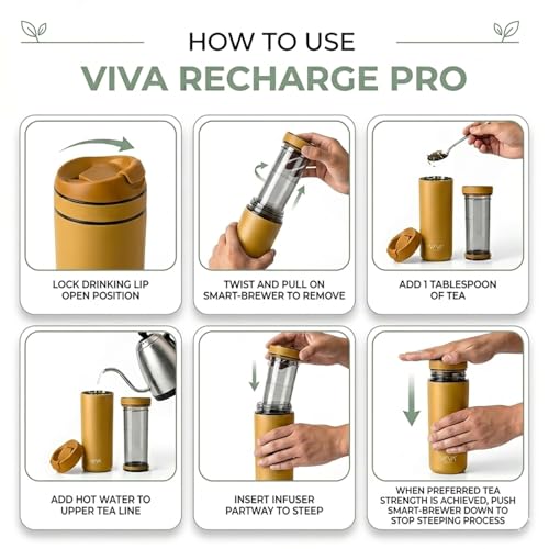 VIVA Recharge Tea Infuser Bottle