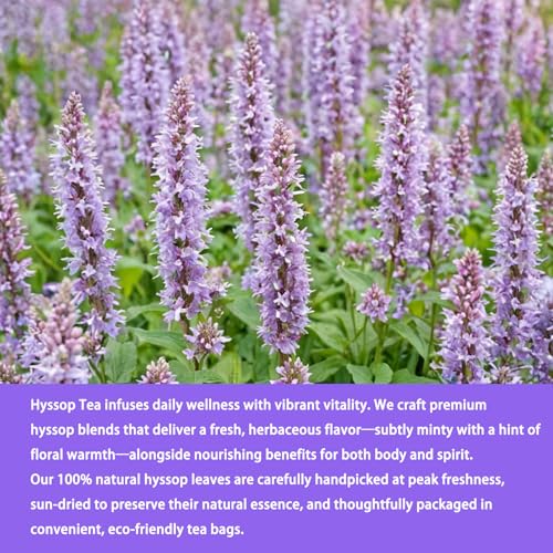 Hyssop Tea Bags (40 Count)