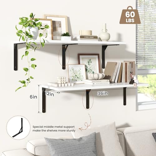 Floating Shelves for Wall (2 Count)