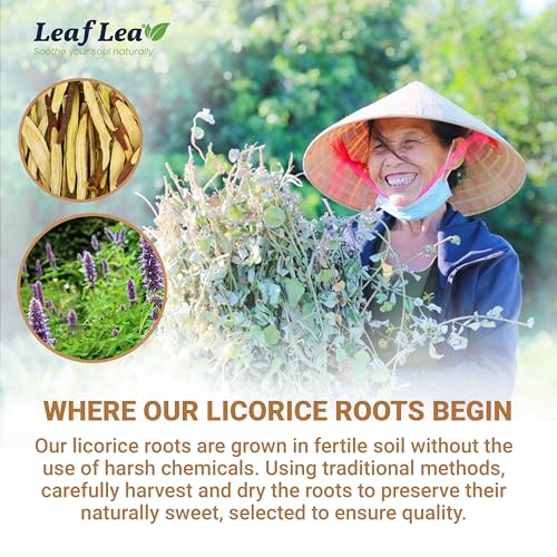 Licorice Root Tea Bags (80 Count)