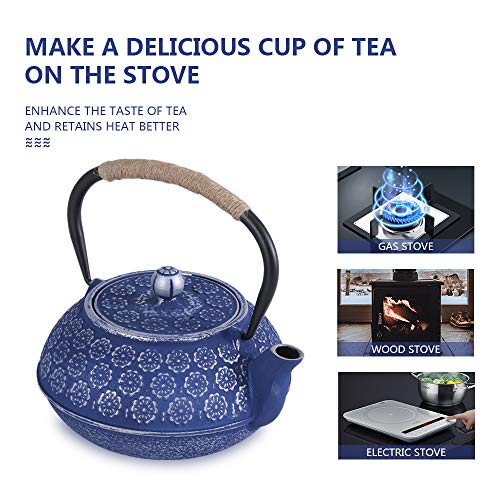 Blue Floral Cast Iron Teapot Set 28 oz Tea Kettle with 4 Cups