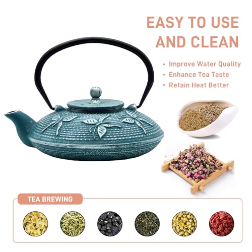 Cast Iron Teapot