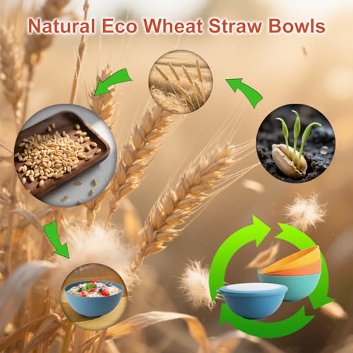 40oz Wheat Straw Bowls with Lids Set of 4
