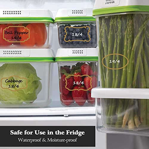 Kitchen Pantry Food Containers Clear Labels with Gold Border