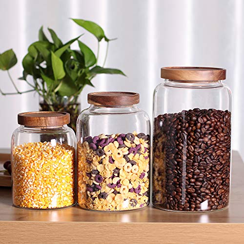 Glass Storage Jars with Airtight Lids