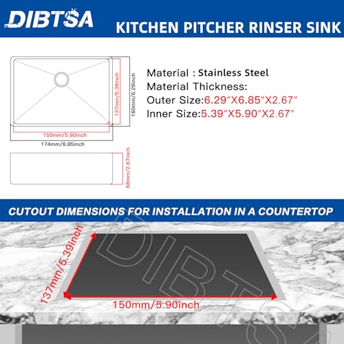 Pitcher Rinser