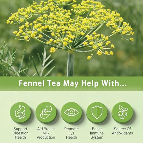 Fennel Tea Bags (40 Count)