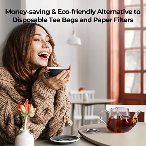 2 Pack Reinmoson 304 Stainless Steel Tea Infuser for Loose Leaf Tea Steeper (2 Count)