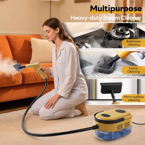 Handheld Steam Cleaner