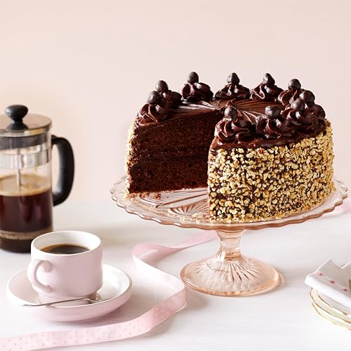 Delights Super Moist Dark Chocolate Cake Mix (159 Ounce)
