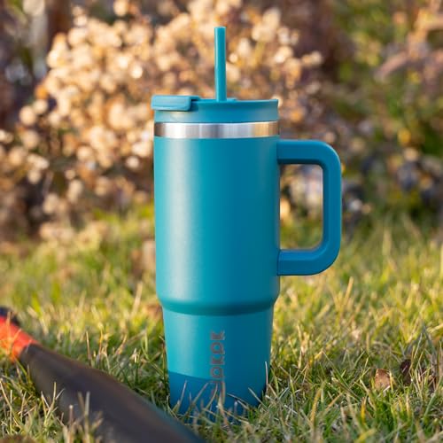 30 oz Insulated Tumbler with Handle & Straw