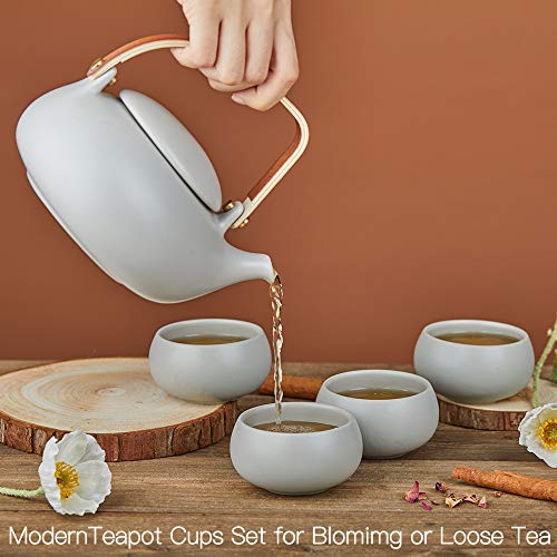 Japanese Teapot Set with 4 Cups