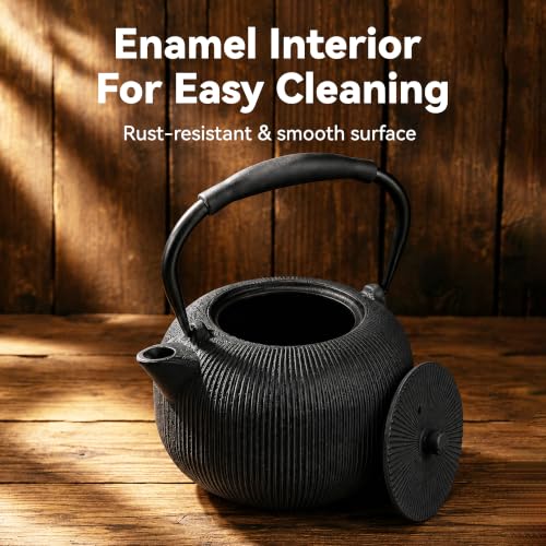 Cast Iron Teapot Set with 2 Cups
