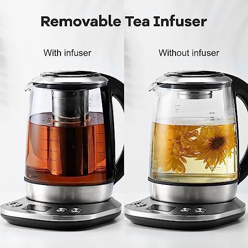 Electric Tea Kettle Borosilicate Glass Tea Maker With Temperature Control and Infuser
